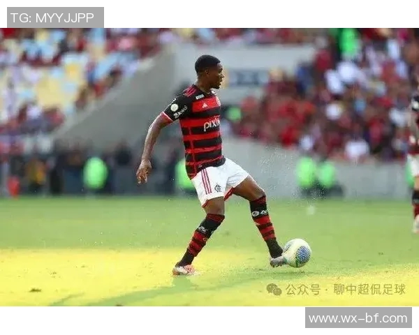 巴西足球新星小老虎的成长历程与辉煌成就全解析