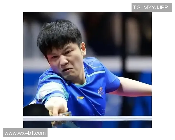 武汉乒乓球队转换打法的深度解析与战术创新探讨